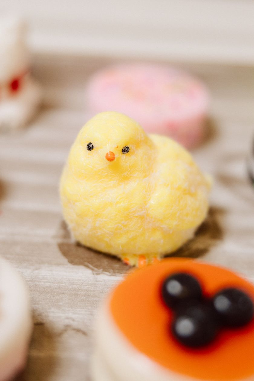 Ellascoops Mystery Scoops and Gifts - squishy